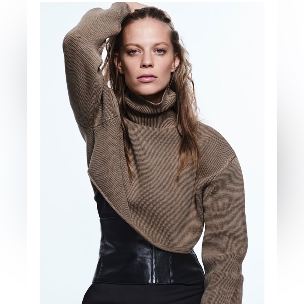 Zara cropped sweater. Never worn brand new